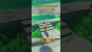 Chests Given by Little Animals 