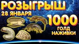 1000 голд наживки 🎁 Розыгрыш 🎯 28 января 🎣 Русская Рыбалка 4