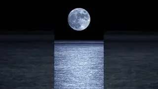 Moon on beach at night | nature short video