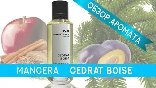 Обзор фруктово-древесного аромата Mancera Cedrat Boise