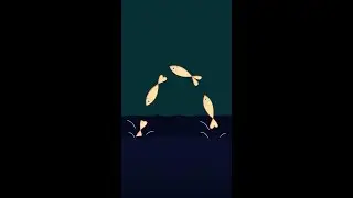 Fish Jumping Out of the Water | Draw Position 1 | 