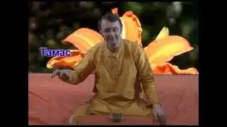 Аюрведа: Брахми - растение мудрости (Роберт Грислис) 17 урок