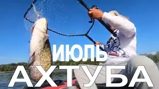 Ахтуба Июль 2020. Часть 2