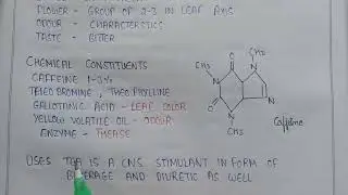 Phenylpropanoids and Flavonoids | Tea leaves in pharmacognosy | caffeine in tea | uses of tea