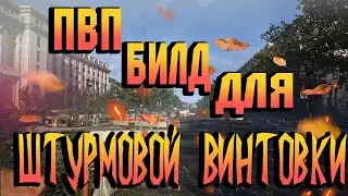 DIVISION 2  БИЛД ДЛЯ ШТУРМОВОЙ ВИНТОВКИ | ПВП БИЛД