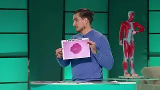 КАКИЕ ОБРАЗОВАНИЯ НА КОЖЕ ОПАСНЫ, А КАКИЕ НЕТ