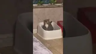😂😂😂
