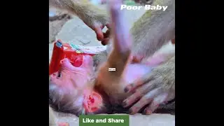 02244 Ho god newborn Luno terrible cried by mom push out lock milk