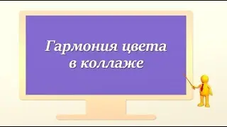 Гармония цвета в коллаже из фото