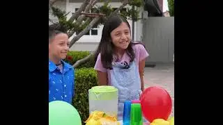 The Lemonade Stand
