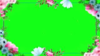 green screen background flower animation effects frame video