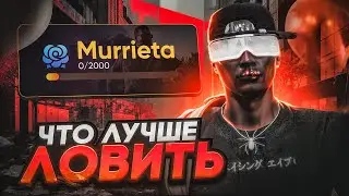 КАК ПРАВИЛЬНО ЗАЙТИ И ЧТО ЛОВИТЬ НА ОТКРЫТИИ НОВОГО СЕРВЕРА GTA 5 RP MURRIETA!