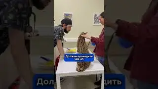 Это должен делать каждый владелец