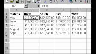 Microsoft Office Excel 2000 Freezing columns and rows