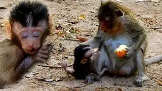 Poor baby Alba!!! Bad Mom Anna hurt baby Alba cruelly | Poor baby Alba was injured hurt mouth sadly