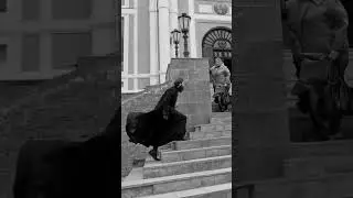 СКОРБИ О БЛИЖНИХ #молитва #бог #господь #библия #вера #orthodox #богородица #православие #shorts