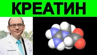 Креатин Топливо Для Мозга | Доктор Майкл Грегер