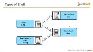 LM4   Lecture 4 – User Input In A Shell Script | 