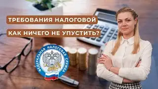 Требование налоговой: что это такое, как правильно отвечать и в какие сроки