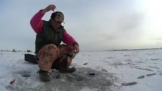 Ловля воблы на безмотылку. Капчагай. часть вторая.