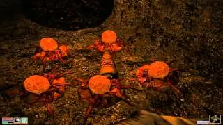 Давайте поиграем в Morrowind-Часть 11 - Шахта? С яйцами?