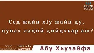 267.ᴴᴰ┇Сед жайн хIу жайн ду, цунах лаций дийцхьар аш? Абу Хьузайфа.