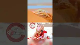 Canaan Jia Nan Becomes a Desert Lizard 😂 Naraka Bladepoint Cosplay #shorts