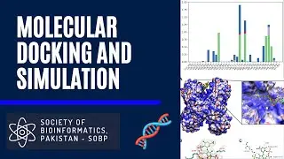 Molecular Docking and MD Simulations ||Hands on Training Part 2