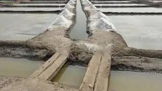 How Salt is Made from Sea Water