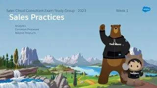 Sales Cloud Consultant Study Group 2023 - Week 1