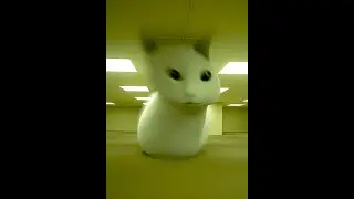 😼Met a cursed cat in the backrooms (Found Footage)