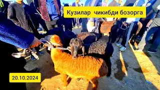 Карши мол бозори нархлари 20.10.2024