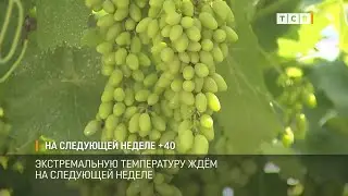 На следующей неделе +40