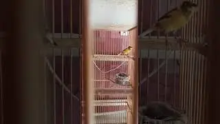 VID 20230508 133934