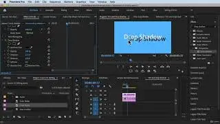 How to Add Drop Shadow#Adobe Premiere Pro Complete Video Editing Masterclass   Udemy