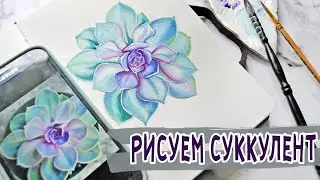 КАК НАРИСОВАТЬ ЦВЕТОК СУККУЛЕНТ АКВАРЕЛЬЮ[ УРОК]