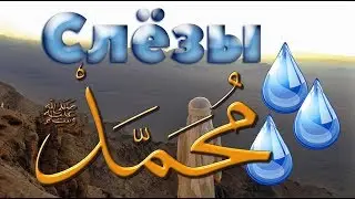Любимец Всевышнего 11 часть.  Признаки будущего  Пророка  (ﷺ)