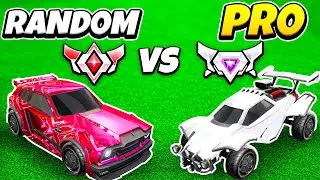 How does a Grand Champ do against a PRO?