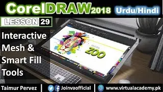 CorelDraw Training | Interactive Fill tool, Mesh Fill tool, and Smart Fill tool | 29