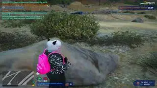 GRAPSEED САМЫЙ АКТИВНЫ СЕРВЕР НА GTA 5 RP