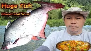Huge Fish Sweet and Sour