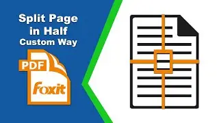 How to divide multiple pages in half custom way in Foxit PDF Editor