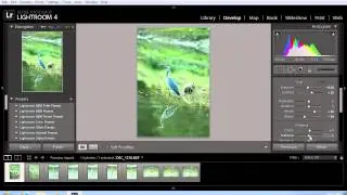 How to Copy Lightroom Settings to Another Photo