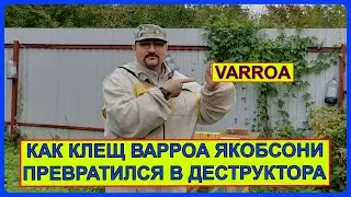 📘 Как клещ Варроа Якобсони стал Варроа Деструктором 📘