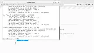 CentOS 7 Has No Internet Connectivity in VMware Workstation 14