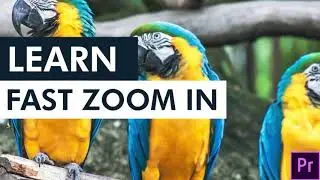 Learn Smooth Zoom in and out in Adobe premiere pro 2021 | Smooth Transitions Effects |How to do this