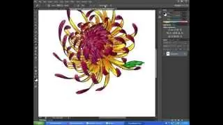 Using the Erase Tool with Photoshop CS6 -