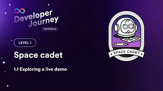 ICP Developer Journey 1.1 | Exploring a Live Demo