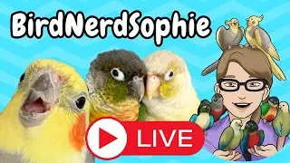 BirdNerdSophie Livestream!