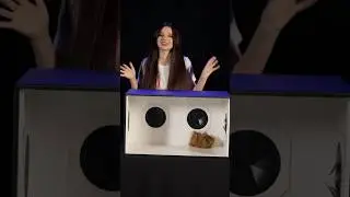 Богадовка и Сулумов трогают свинку 😄
